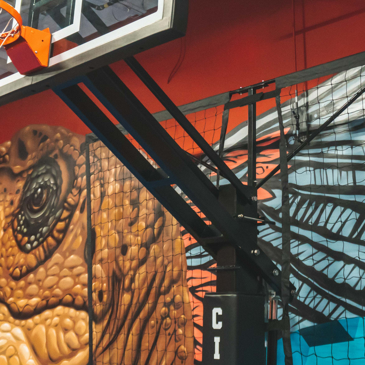 CITY HOOPS - Basketball Backstop Netting System - DIY Court Canada
